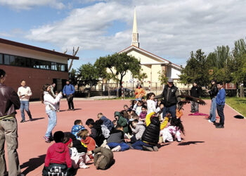 Este sábado, habrá actividades de cetrería en el parque de La Constitución de Azuqueca Este sábado, habrá actividades de cetrería en el parque de La Constitución de Azuqueca