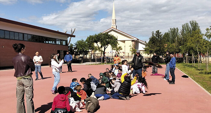 Este sábado, habrá actividades de cetrería en el parque de La Constitución de Azuqueca