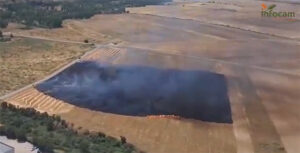 Extinguido un incendio agrícola en Torrejón del Rey tras una rápida intervención