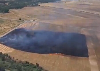 Extinguido un incendio agrícola en Torrejón del Rey tras una rápida intervención