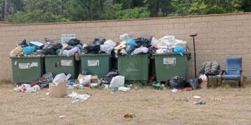 Fotodenuncia. La realidad a 24 horas de que los vecinos limpiaran el Pinar de Jábaga