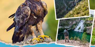 Javier Peña, Odile Rodríguez de la Fuente y Elvia la Rastreadora acercarán un poco más a la naturaleza a los visitantes de NATURTAJO