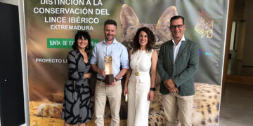 La Junta destaca la implicación de los propietarios de las fincas privadas en la recuperación del lince ibérico en Castilla-La Mancha