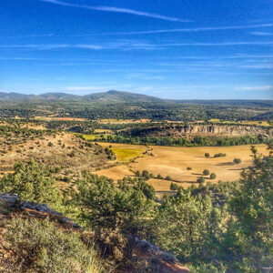La campaña "12 días / 12 razones para decir NO a las macrogranjas en el Valle del Mesa" concluye con una presentación en la Feria Naturtajo 2025 3 La campaña 12 días 12 razones para decir NO a las macrogranjas en el Valle del Mesa concluye con una presentación en la Feria Naturtajo 2025