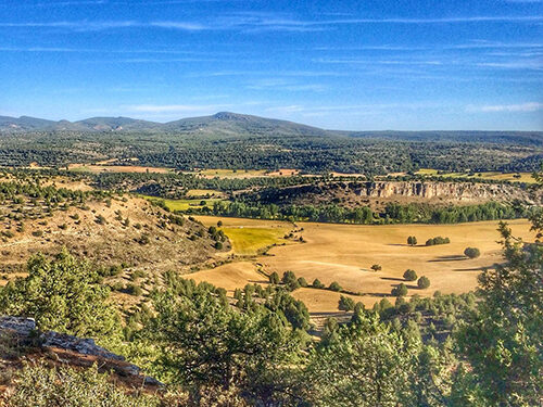 La campaña 12 días 12 razones para decir NO a las macrogranjas en el Valle del Mesa concluye con una presentación en la Feria Naturtajo 2025