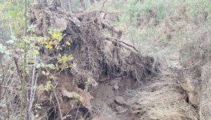Los daños ocasionados por la DANA en Las Chorreras del Cabriel obligan a prohibir el baño y cerrar el acceso por la margen derecha del río 2 Los daños ocasionados por la DANA en Las Chorreras del Cabriel obligan a prohibir el baño y cerrar el acceso por la margen derecha del río