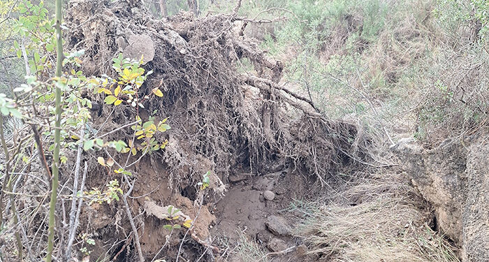 Los daños ocasionados por la DANA en Las Chorreras del Cabriel obligan a prohibir el baño y cerrar el acceso por la margen derecha del río 1 Los daños ocasionados por la DANA en Las Chorreras del Cabriel obligan a prohibir el baño y cerrar el acceso por la margen derecha del río