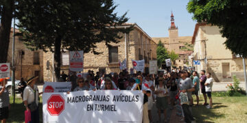 Más de un centenar de personas se manifiestan en Maranchón contra las macrogranjas proyectadas en la cabecera del Valle del Mesa