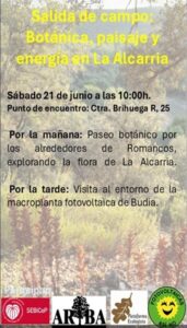 Paseo botánico por la Alcarria para conocer mejor los paisajes y la flora alcarreña