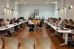 Pleno ordinario Ayuntamiento de Guadalajara