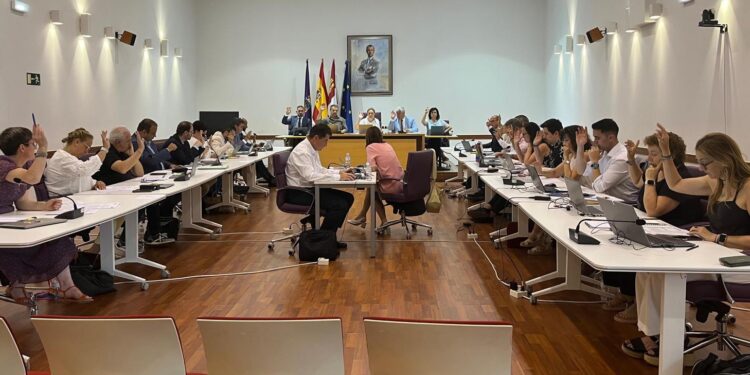 Pleno ordinario Ayuntamiento de Guadalajara