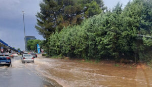 Policía Local, bomberos y Protección Civil atendieron 38 incidentes por la fuerte granizada caída el miércoles en Guadalajara 2 Policía Local, bomberos y Protección Civil atendieron 38 incidentes por la fuerte granizada caída el miércoles en Guadalajara