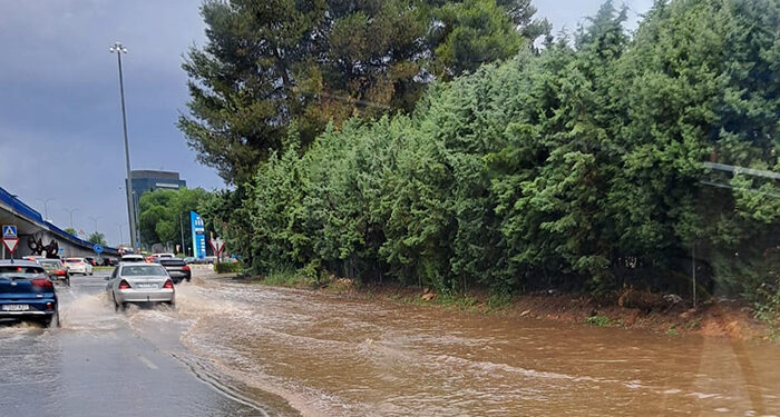 Policía Local, bomberos y Protección Civil atendieron 38 incidentes por la fuerte granizada caída el miércoles en Guadalajara 1 Policía Local, bomberos y Protección Civil atendieron 38 incidentes por la fuerte granizada caída el miércoles en Guadalajara