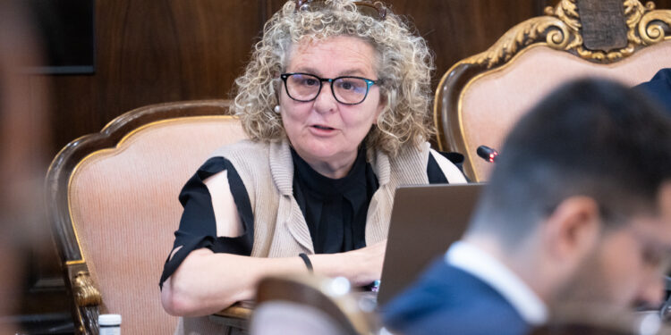 Susana Alcalde pleno 13 6 25