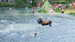 Trillo inaugura el verano con su Feria Chica Vacas por el Tajo, reguetón y ambiente festivo para todos los públicos