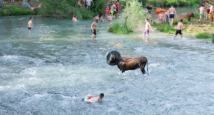 Trillo inaugura el verano con su Feria Chica Vacas por el Tajo, reguetón y ambiente festivo para todos los públicos