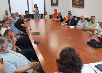 Una treintena de alcaldes de Guadalajara piden ayuda a la subdelegada del Gobierno ante la indefensión que sienten ante la Confederación del Tajo