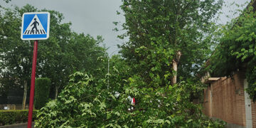 Lluvias intensas de hasta 30 litros y riesgo de granizo activan el METEOCAM en Cuenca y Guadalajara