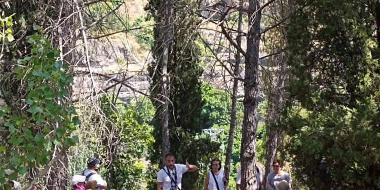 Viaje Mar de Castilla f2