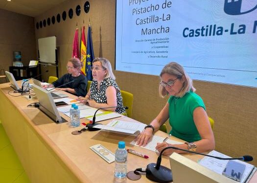 p1iuqne31uhcdqd8aelr237l4