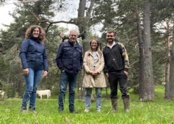 La Junta destina 151.000 euros a medidas preventivas para evitar daños al ganado doméstico por ataques de lobo en Guadalajara