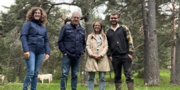 La Junta destina 151.000 euros a medidas preventivas para evitar daños al ganado doméstico por ataques de lobo en Guadalajara