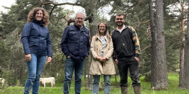 La Junta destina 151.000 euros a medidas preventivas para evitar daños al ganado doméstico por ataques de lobo en Guadalajara 1 p1iv04lbul1q4ncvp127n1lq5bge4