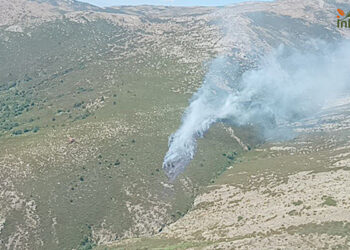 Activo un incendio forestal en El Cardoso de la Sierra