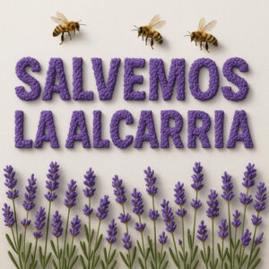 Almacenamiento, aerogeneradores, placas y silencio 2 Almacenamiento, aerogeneradores, placas y silencio