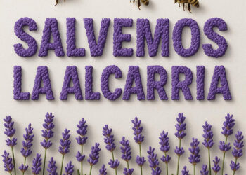 Almacenamiento, aerogeneradores, placas y silencio