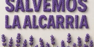 Almacenamiento, aerogeneradores, placas y silencio