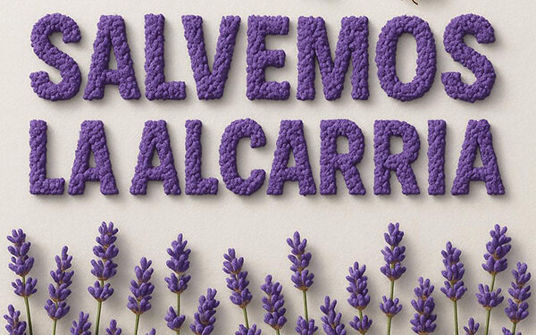 Almacenamiento, aerogeneradores, placas y silencio 1 Almacenamiento, aerogeneradores, placas y silencio