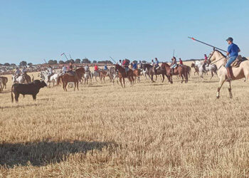 Animado segundo encierro campero en Cabanillas con un toro noble y de gran juego