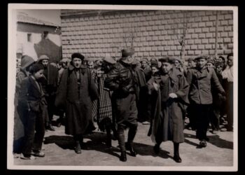 Cogolludo convierte su historia en memoria viva en las II Jornadas sobre la Guerra Civil