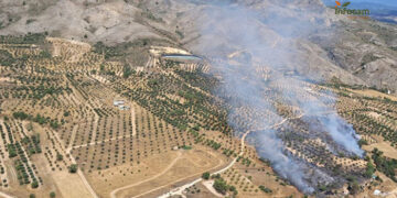 Controlado un incendio de pastizal en Albalate de las Nogueras