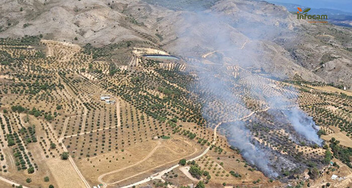 Controlado un incendio de pastizal en Albalate de las Nogueras 1 Controlado un incendio de pastizal en Albalate de las Nogueras
