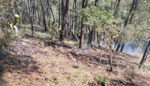 Controlado un incendio forestal en El Pozuelo 2 Controlado un incendio forestal en El Pozuelo
