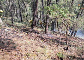 Controlado un incendio forestal en El Pozuelo