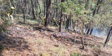 Controlado un incendio forestal en El Pozuelo