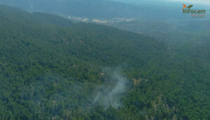Controlado un incendio forestal en El Recuenco