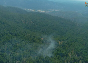 Controlado un incendio forestal en El Recuenco