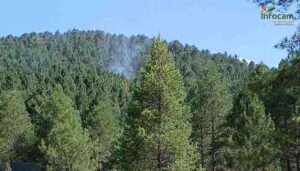 Controlados dos incendios forestales en Minglanilla y Valdemoro de la Sierra 2 Controlados dos incendios forestales en Minglanilla y Valdemoro de la Sierra