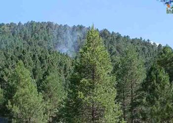 Controlados dos incendios forestales en Minglanilla y Valdemoro de la Sierra