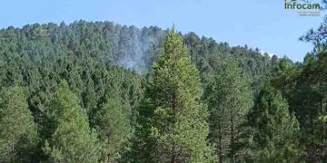 Controlados dos incendios forestales en Minglanilla y Valdemoro de la Sierra