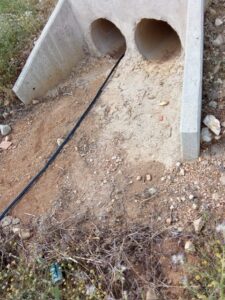 El PP denuncia que varias naves de ganadería de Las Majadas llevan más de un mes y medio sin agua y pide al alcalde “una solución inmediata”