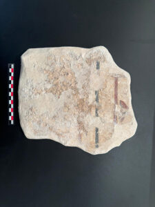 La Diputación de Cuenca lanza por primera vez ayudas para la digitalización en 3D del patrimonio dotadas con 40.000 euros 2 La Diputación de Cuenca lanza por primera vez ayudas para la digitalización en 3D del patrimonio dotadas con 40.000 euros