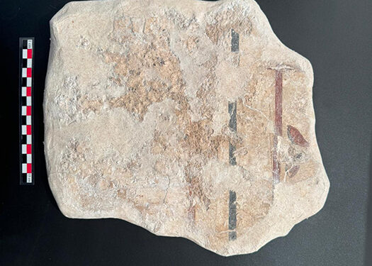 La Diputación de Cuenca lanza por primera vez ayudas para la digitalización en 3D del patrimonio dotadas con 40.000 euros 1 La Diputación de Cuenca lanza por primera vez ayudas para la digitalización en 3D del patrimonio dotadas con 40.000 euros