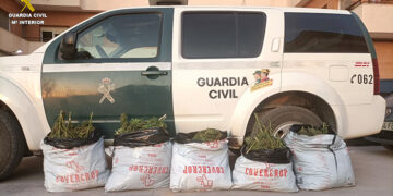 La Guardia Civil de Cuenca detiene e investiga a tres personas por delitos de tráfico de drogas, robo y uso vehículo motor, conducción temeraria y conducir sin licencia
