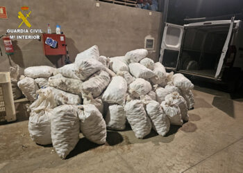 La Guardia Civil detiene a una persona e investigan a otra por 4 delitos de hurto y otro de receptación de ajos