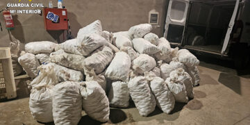 La Guardia Civil detiene a una persona e investigan a otra por 4 delitos de hurto y otro de receptación de ajos